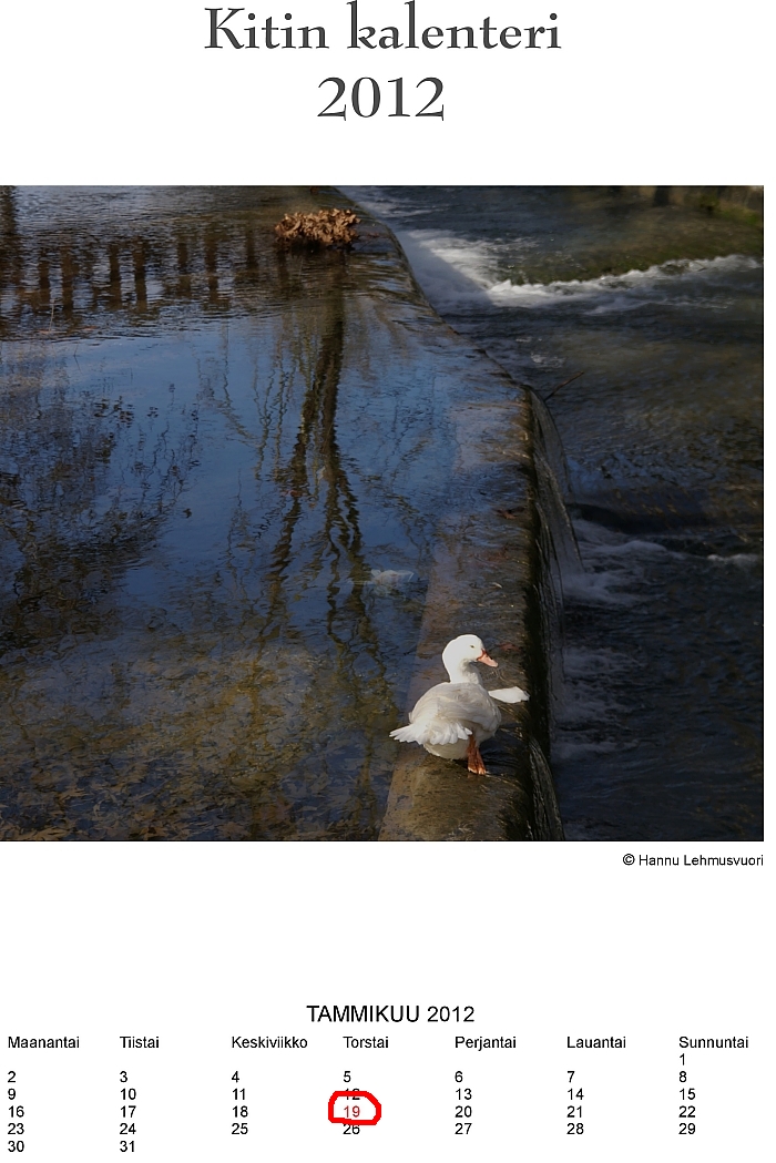 2012-01-TAMMIKUU small.jpg - 387927 Bytes